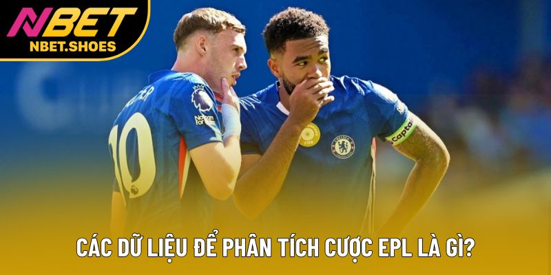Các dữ liệu để phân tích cược EPL là gì? Các dữ liệu để phân tích cược EPL là gì?