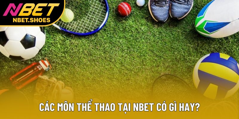 Các môn thể thao tại Nbet có gì hay?