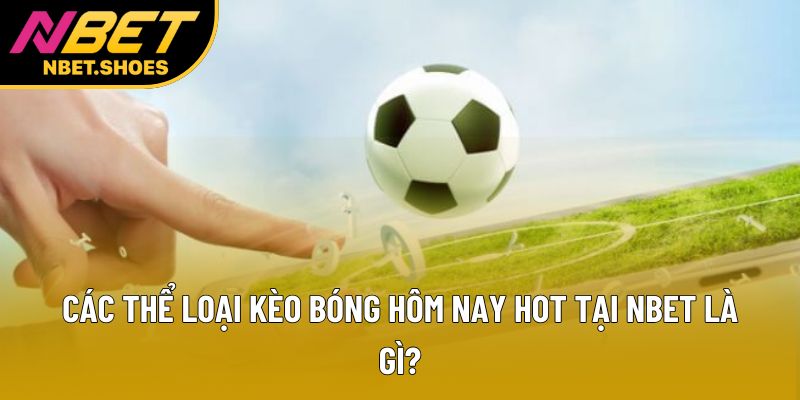 Các thể loại kèo bóng hôm nay hot tại Nbet là gì? Các thể loại kèo bóng hôm nay hot tại Nbet là gì?
