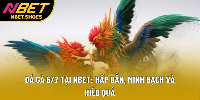 Đá Gà 6/7 Tại Nbet: Hấp Dẫn, Minh Bạch Và Hiệu Quả