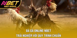 Đá Gà Online Nbet – Trải Nghiệm Với Quy Trình Chuẩn