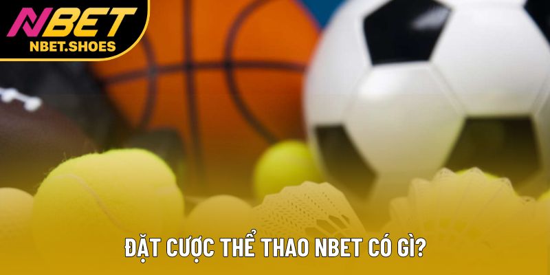 Đặt cược thể thao Nbet có gì?