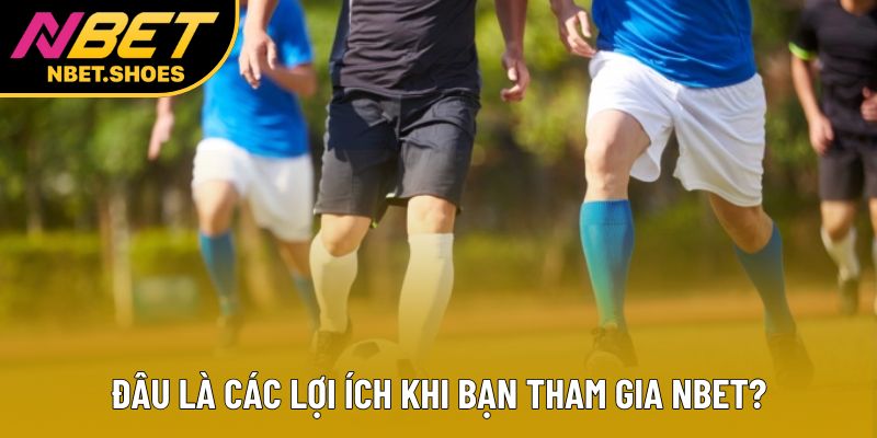 Đâu là các lợi ích khi bạn tham gia Nbet?