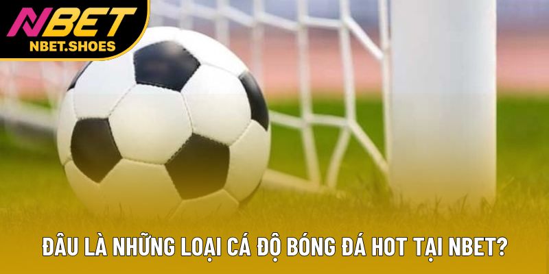 Đâu là những loại cá độ bóng đá hot tại Nbet?