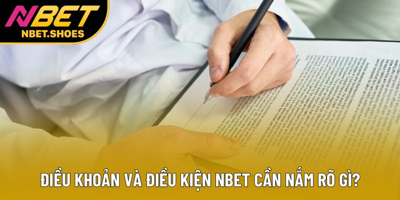 Điều khoản điều kiện Nbet cần nắm rõ gì? Điều khoản điều kiện Nbet cần nắm rõ gì?