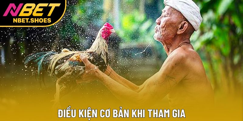Điều kiện cơ bản khi tham gia Điều kiện cơ bản khi tham gia