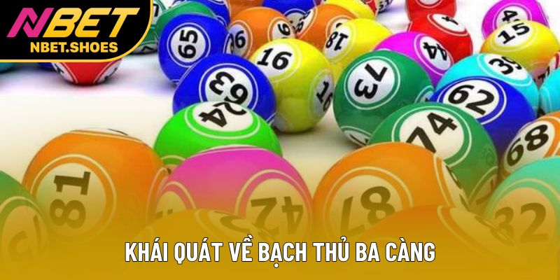 Khái quát về bạch thủ ba càng Khái quát về bạch thủ ba càng