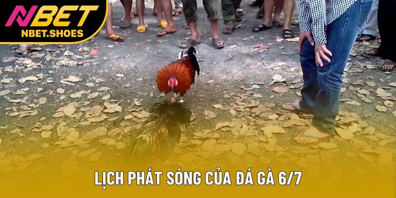 Lịch phát sóng của đá gà 6/7 Lịch phát sóng của đá gà 6/7