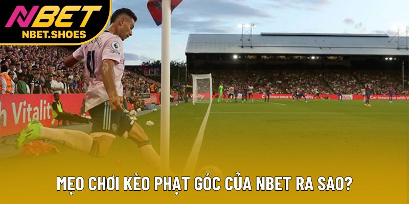 Mẹo chơi kèo phạt góc của Nbet ra sao? Mẹo chơi kèo phạt góc của Nbet ra sao?
