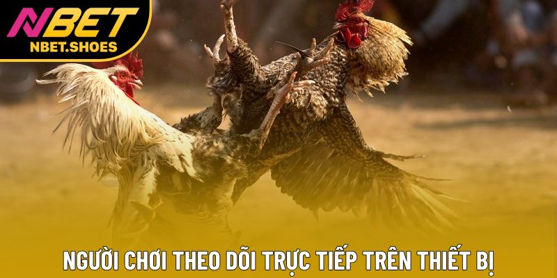 Người chơi theo dõi trực tiếp trên thiết bị Người chơi theo dõi trực tiếp trên thiết bị