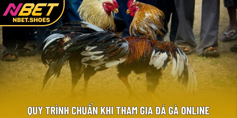 Quy trình chuẩn khi tham gia đá gà online Quy trình chuẩn khi tham gia đá gà online