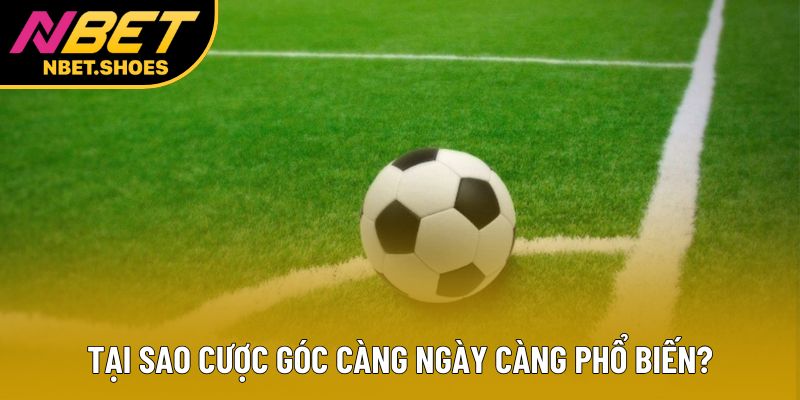 Tại sao cược góc càng ngày càng phổ biến? Tại sao cược góc càng ngày càng phổ biến?