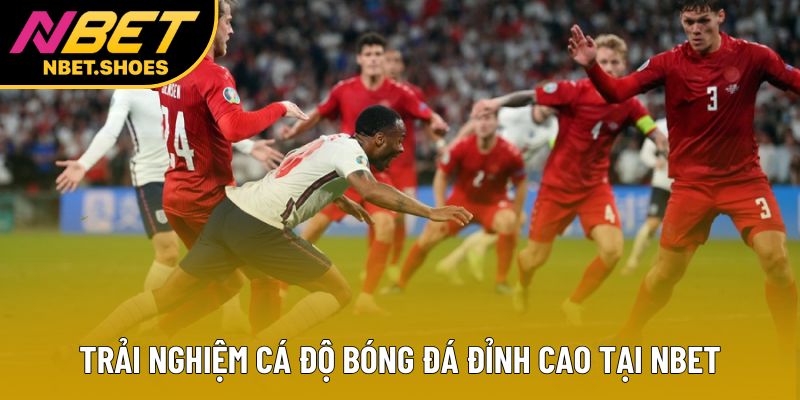 Trải nghiệm cá độ bóng đá đỉnh cao tại Nbet Trải nghiệm cá độ bóng đá đỉnh cao tại Nbet